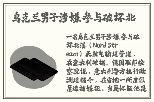 国外麻婆豆腐传媒